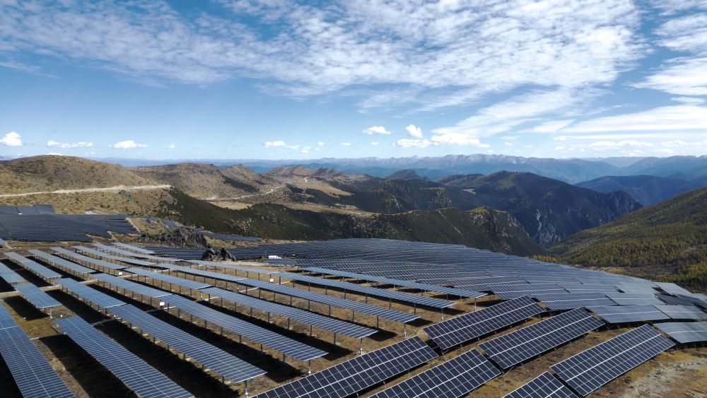 1733209428911022502.jpg 1733209562844.jpg