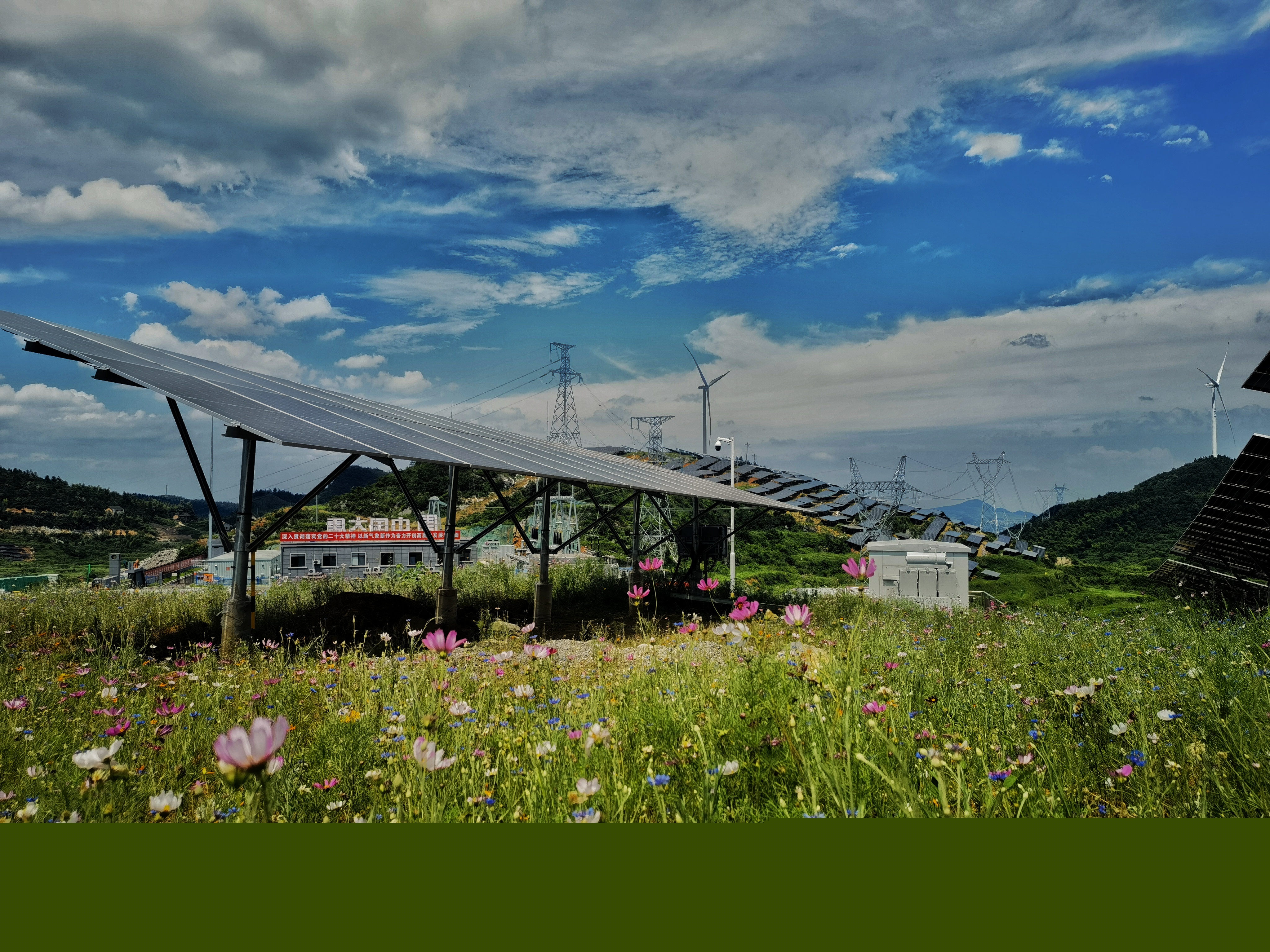 1718763171564052910.jpg 5.jpg