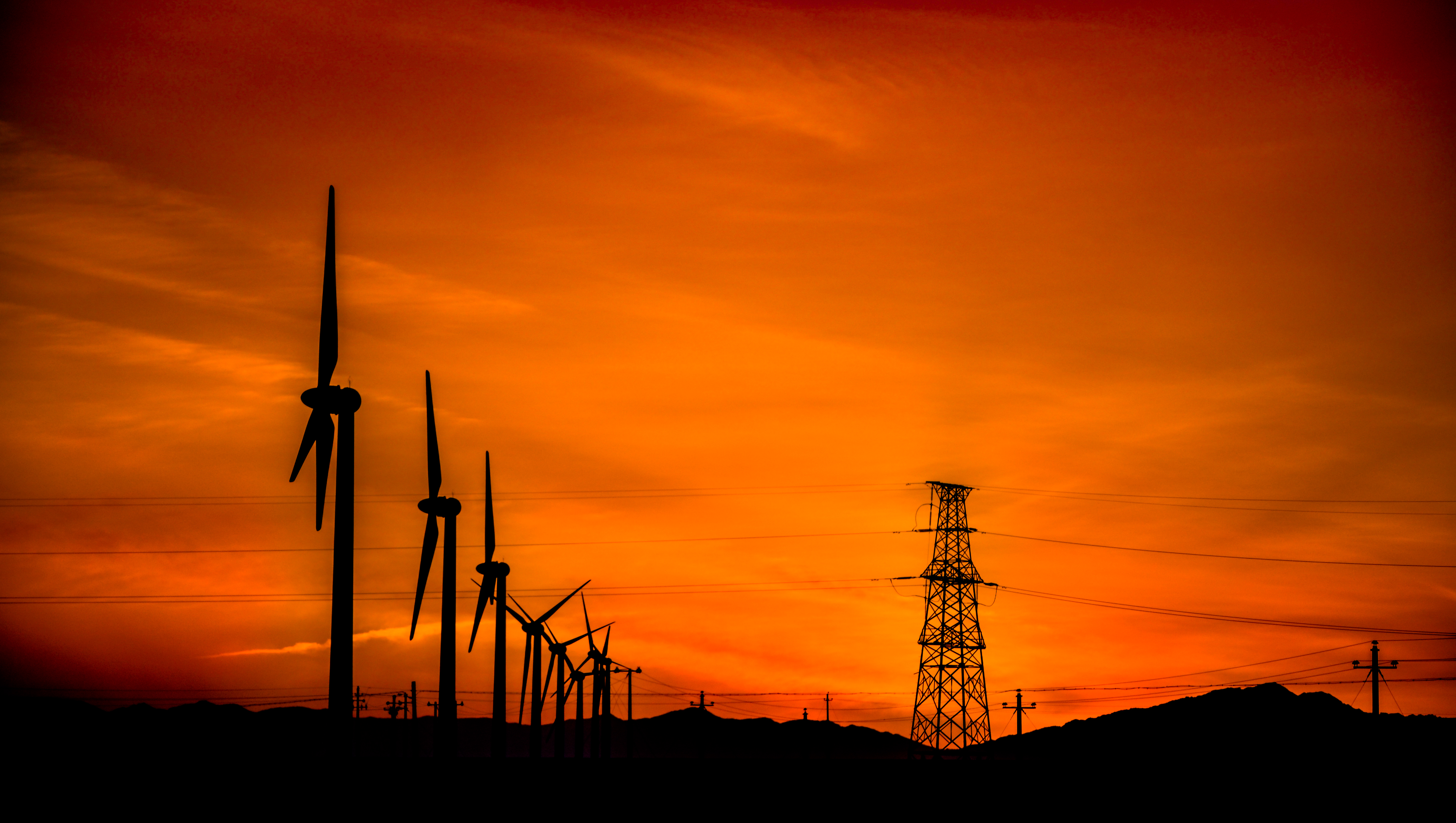 1721702769851026486.jpg 6.jpg